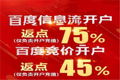 短视频平台的SEM推广实践与效果